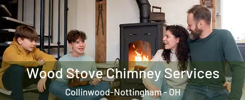 Wood Stove Chimney Services Collinwood-Nottingham - OH